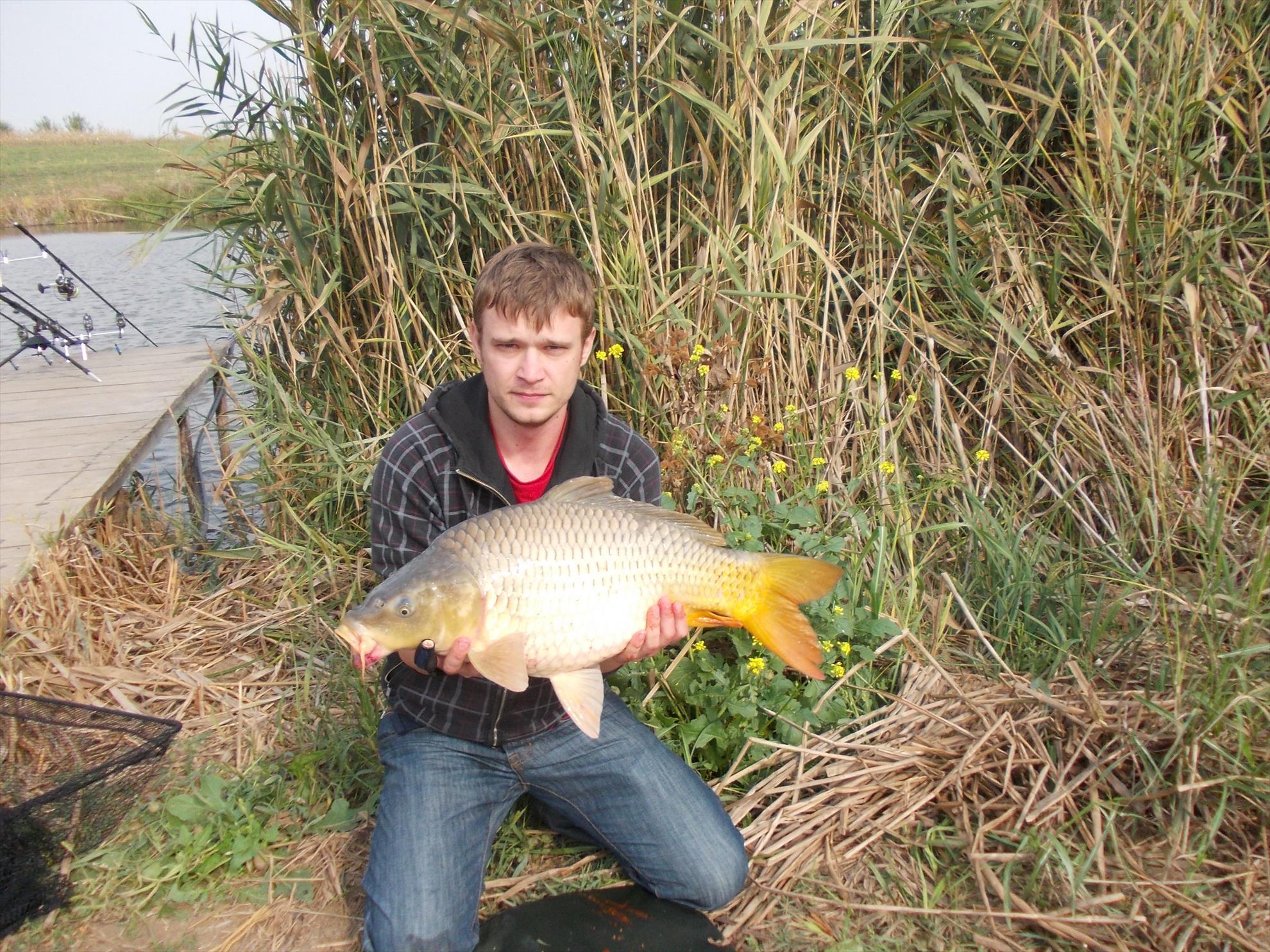 Carp mad - dscn2026.JPG